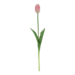 Tulp roze/crème 47cm