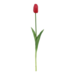 Tulp rood 47cm