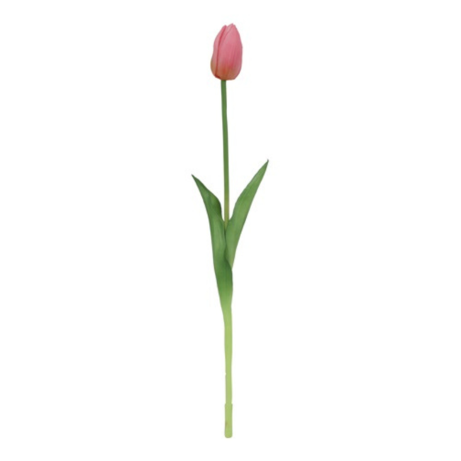 Tulp roze 47cm