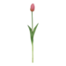Tulp roze 47cm