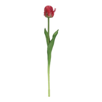 Parkiet tulp roze/rood 47cm
