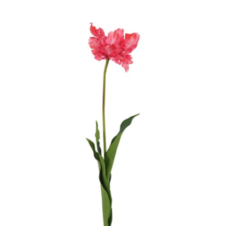 Parkiet tulp XL roze 73 cm