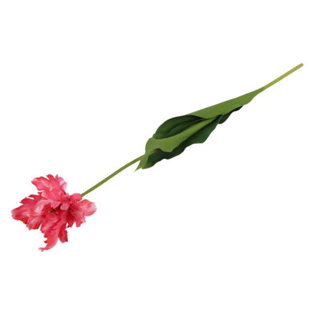 Parkiet tulp XL roze 73 cm