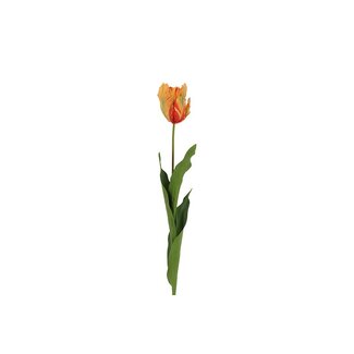 Parkiet tulp Oranje 65 cm