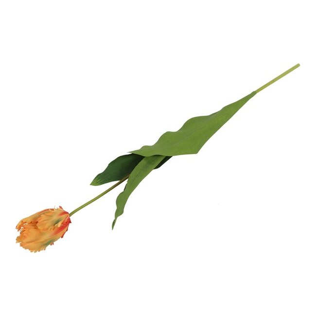 Parkiet tulp Oranje 65 cm