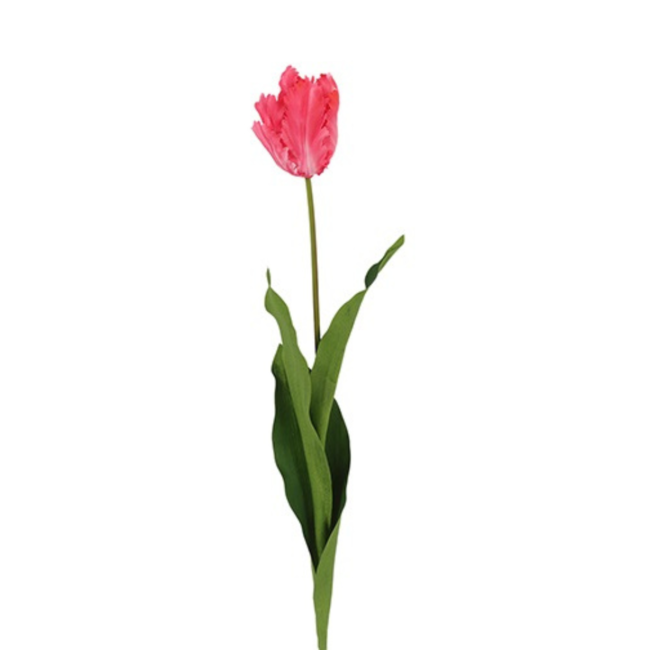 Parkiet tulp Roze 65 cm