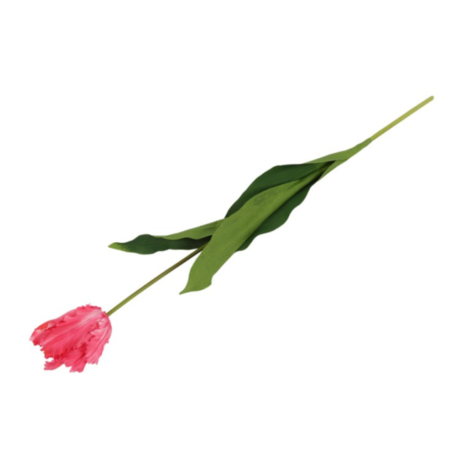 Parkiet tulp Roze 65 cm