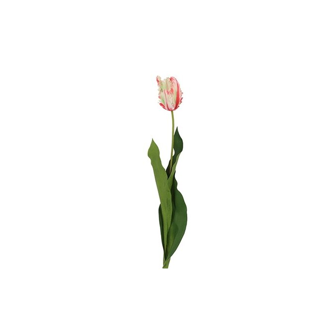 Decostar Parkiet tulp veelkleurig wit/rood/groen 65 cm