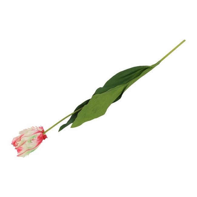 Parkiet tulp veelkleurig wit/rood/groen 65 cm