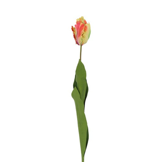 Decostar Parkiet tulp veelkleurig geel/oranje 65 cm