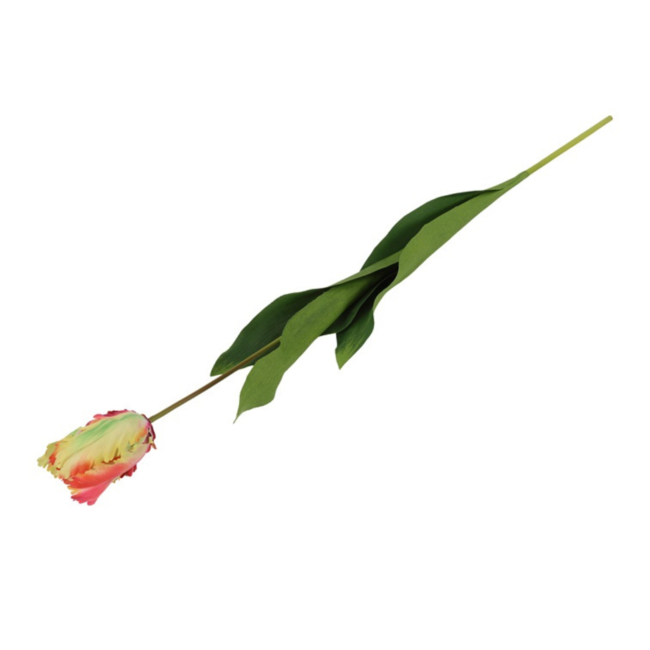 Parkiet tulp veelkleurig geel/oranje 65 cm