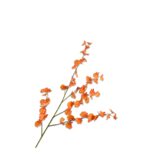 Silk-Ka ONCIDIUM TAK ORANJE RT 114 cm