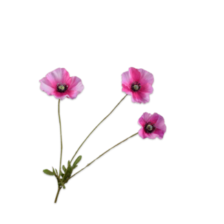 Silk-Ka KLAPROOS TAK ROZE RT 81 cm