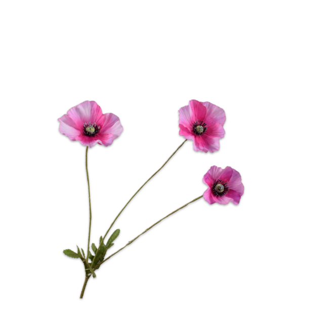 Silk-Ka KLAPROOS TAK ROZE RT 81 cm