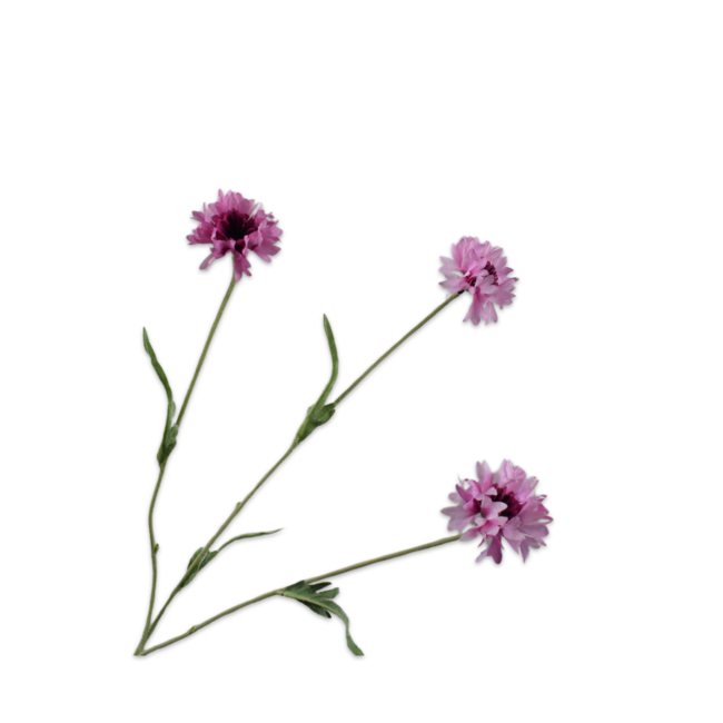Silk-Ka KORENBLOEM TAK ROZE 69 cm