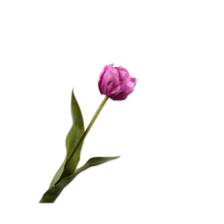 Silk-Ka TULP STEEL PAARS 47 cm