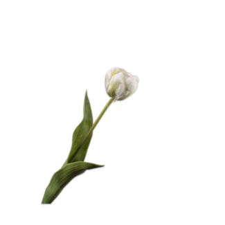 Silk-Ka TULP STEEL CREME 47 cm