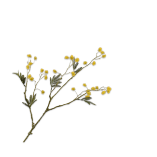 Silk-Ka MIMOSA TAK GEEL 95 cm