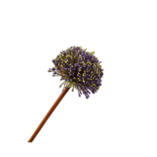 Silk-Ka ALLIUM STEEL PAARS 78 cm