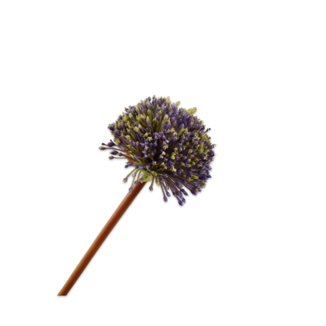 Silk-Ka ALLIUM STEEL PAARS 78 cm
