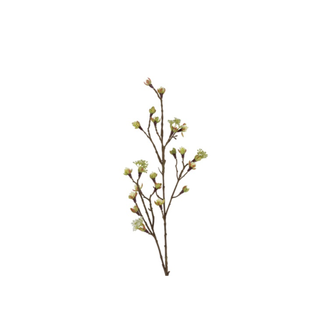 Bloesemtak Acer Wit 87cm