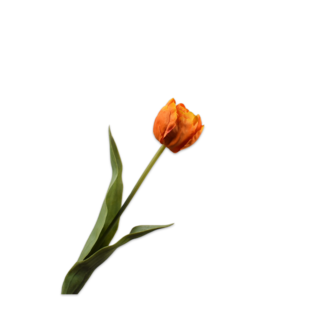 Silk-Ka TULP STEEL ORANJE 47 cm