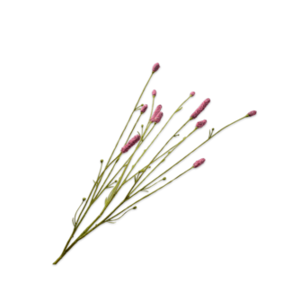 Silk-Ka PIMPERNEL TAK ROZ/RD 84 cm