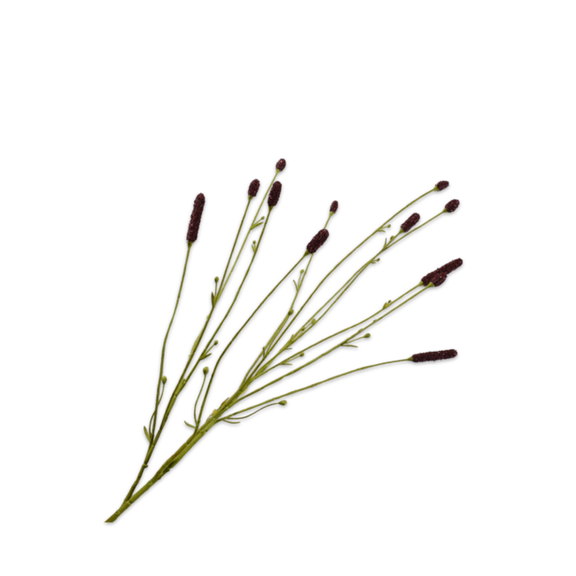 Silk-Ka PIMPERNEL TAK BRUIN 84 cm