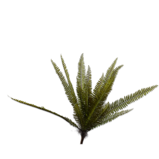 Silk-Ka VAREN BUSH GROEN 56 cm