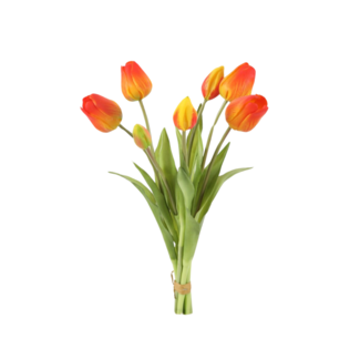 Tulpen - Bosje 7 stuks Oranje 41 cm