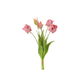 Parkiet Tulpen - Bosje 5 stuks Lila 41 cm