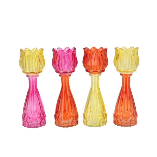 Bicolore dutch orange mix tulip vase/ tea-light ass 7x22cm