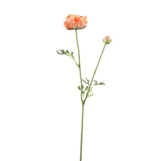 PTMD Ranonkel Flower Orange spray with bud and leaves
