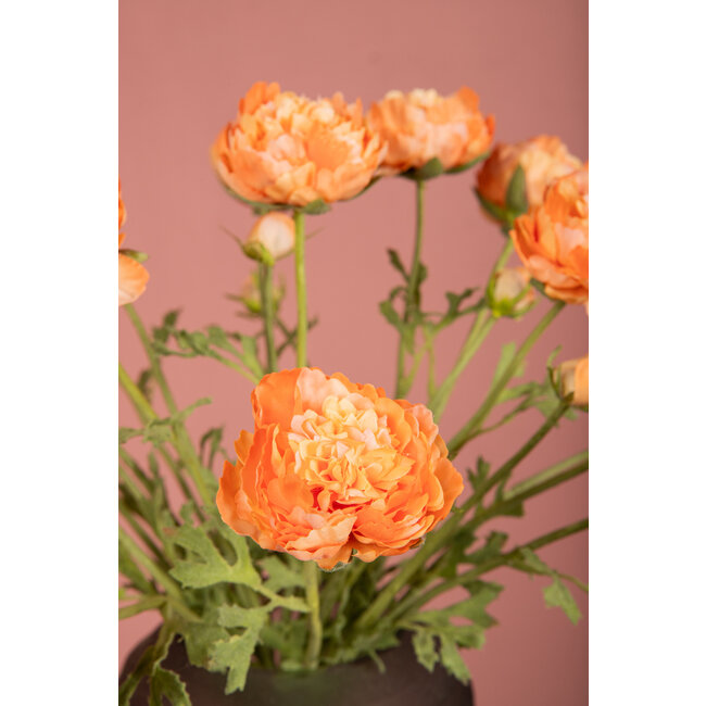 PTMD Ranonkel Flower Orange spray with bud and leaves