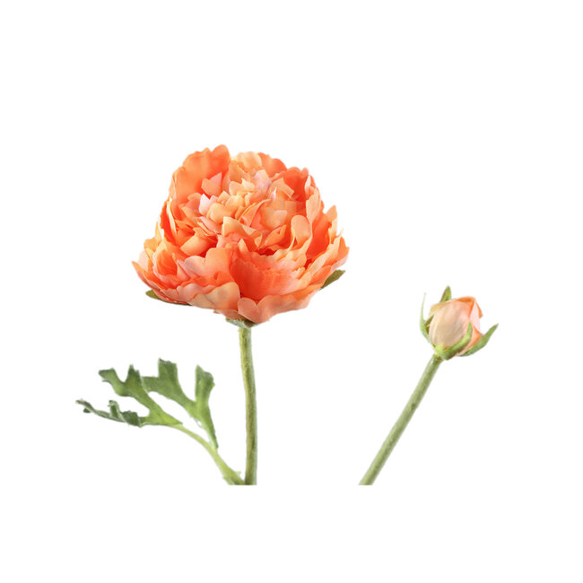 PTMD Ranonkel Flower Orange spray with bud and leaves