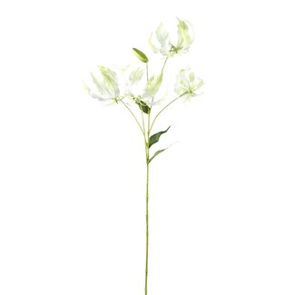 PTMD Garden Flower Cream gloriosa spray with leaves
