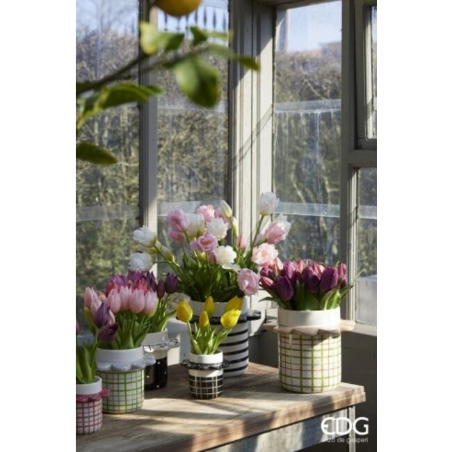 EDG Bosje Tulpen 2 tone Pink 5 stuks h28 cm 2 ass.
