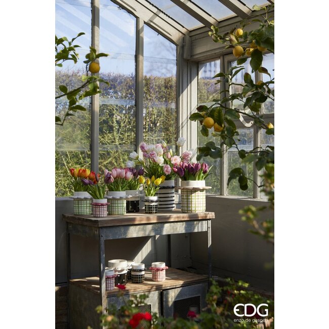 EDG Bosje Tulpen 2 tone Pink 5 stuks h28 cm 2 ass.