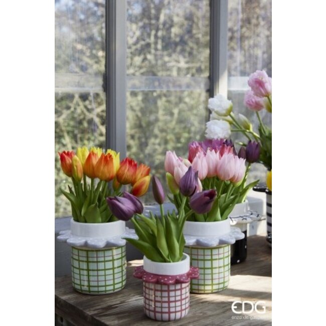 EDG Bosje Tulpen 2 tone Pink 5 stuks h28 cm 2 ass.