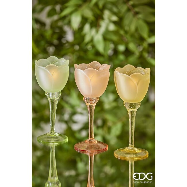 EDG Glazen tulip candle holder Yellow Green satin 3 ass. H19 D8.5