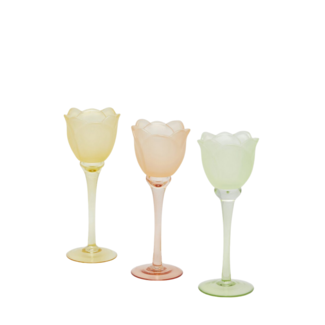 EDG Glazen tulip candle holder Yellow Green satin 3 ass. H22 D8.5