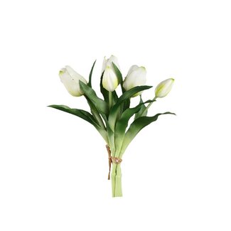PTMD Tulip Flower White bush with leaves short 5pcs
