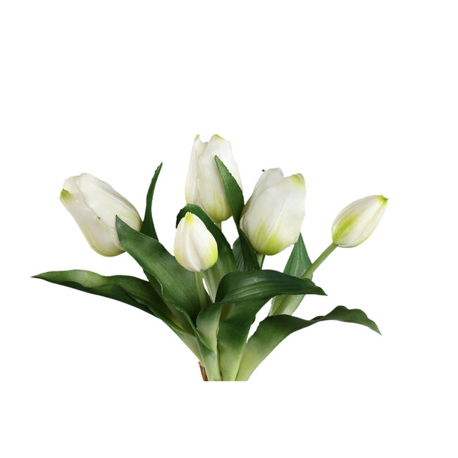PTMD Tulip Flower White bush with leaves short 5pcs