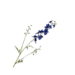 Silk-Ka DELPHINIUM TAK BLAUW 101 cm