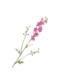 Silk-Ka DELPHINIUM TAK ROZE DK 101 cm