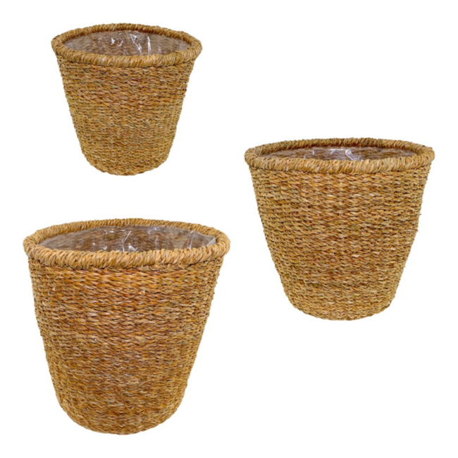 Home Society Mand Faye S