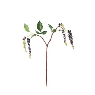 PTMD Twig Plant Purple hanging pokeweed spray