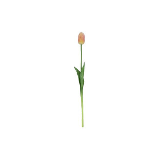 Tulp donker zalm/geel 47cm
