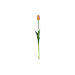 Tulp donker zalm/geel 47cm