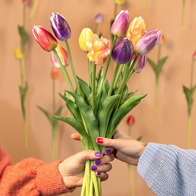 Tulp donker zalm/geel 47cm